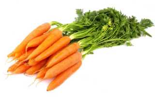 Как правильно есть морковь, чтобы получить максимальную пользу