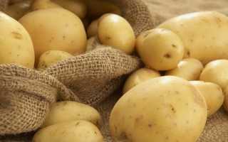 Калорийность картофельного пюре и польза картофеля