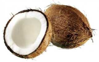 Кокос польза и вред: что следует знать о тропическом орехе
