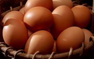 Холестерин в яйцах: польза, вред или ничего?