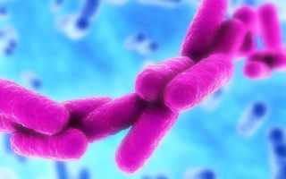 Клебсиелла – это опасная бактерия: основные сведения, пневмония, урологические инфекции, диагностика и лечение 