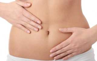 Тонкий кишечник человека: анатомия, функции и процесс переваривания пищи
