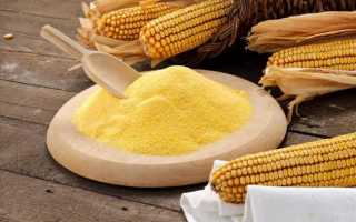Кукурузная мука — польза и рекомендации по употреблению