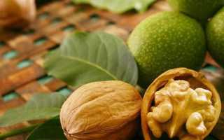 Сколько калорий в грецких орехах и чем они полезны для человека