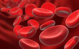 Какие витамины для гемоглобина способствуют повышению его уровня в крови