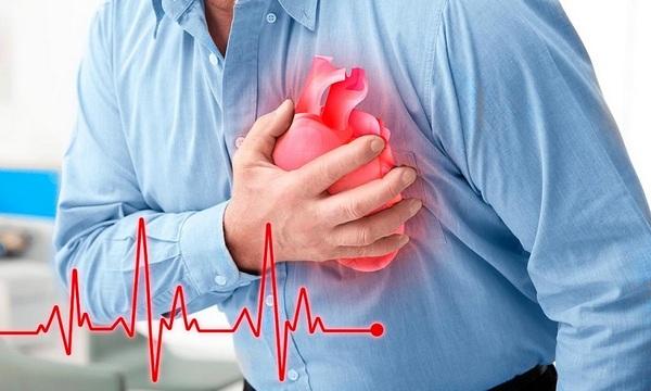 Сердце – орган, который непосредственно влияет на состояние всего организма человека